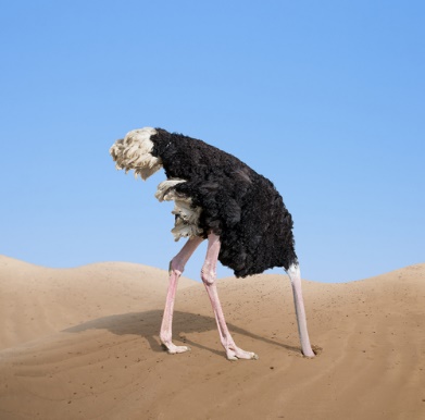 alie2.jpg